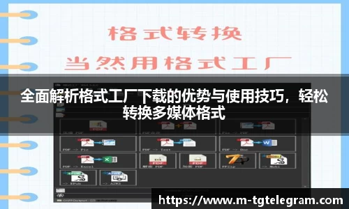 纸飞机Telegram