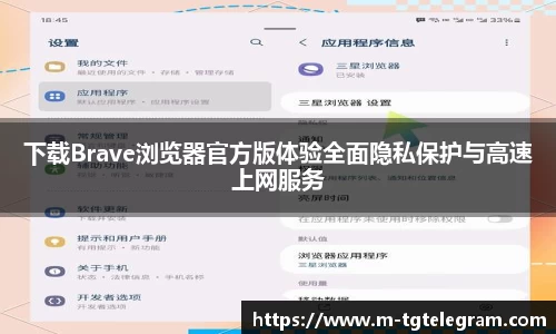 下载Brave浏览器官方版体验全面隐私保护与高速上网服务